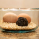 Store Truffle with Eggs and Rice